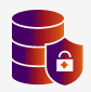 Database with a lock shield representing data encryption
